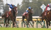 ムイトオブリガードが競走馬登録抹消