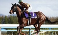 【カペラS想定】芝GI馬モズスーパーフレア、地方重賞2勝リュウノユキナなど18頭