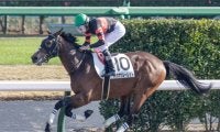【中山6R新馬戦結果】オメガパフュームの弟ホウオウルーレットが7馬身差圧勝