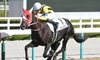 【阪神5R新馬戦結果】ラリュエルが注目馬の揃った新馬戦を制す