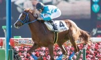【中山5R新馬戦結果】7番人気ピンクセイラーが逃げ切って3馬身差完勝