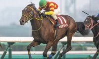 【JRA】オセアグレイトが屈腱炎で全治9か月以上　昨年のステイヤーズS覇者