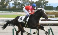 【中京5R新馬戦結果】武豊騎手騎乗シェルビーズアイが差し切りデビュー勝ち