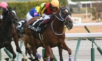 【こうやまき賞結果】モーリス産駒ソリタリオが抜け出して連勝