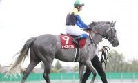 【中日新聞杯展望】近年は凡走からの変わり身が多い一戦、あの穴馬に期待