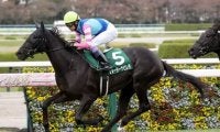 近年まれに見る大混戦の「２歳牝馬ランキング」。真の女王はいまだ影を潜めているのか