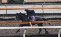 クロノジェネシス、有馬記念2週前追い切り速報/栗東トレセンニュース