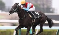 【AI予想】オッズ次第では魅力的な存在に　阪神JFでAIが選んだ注目馬を分析