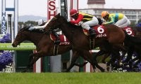 ノーワンが競走馬登録抹消
