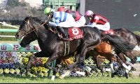 【2021香港国際競走】日本馬の近況（12月8日）