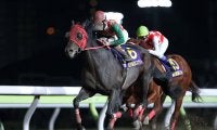 【地方競馬】2020年JBCスプリント優勝馬サブノジュニアが9日のビオラ賞で引退
