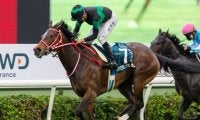 【香港カップ枠順】ラヴズオンリーユーは4番枠、ヒシイグアスは大外12番枠
