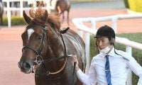 【中日新聞杯出走馬・騎手確定】ラーゴム＆池添謙一騎手、アドマイヤビルゴ＆武豊騎手など18頭