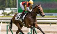 【阪神JF出走馬・騎手確定】ウォーターナビレラ＆武豊騎手、ステルナティーア＆ルメール騎手など18頭