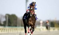 【JRA】ノボトゥルーが死亡、25歳　2001年フェブラリーS覇者