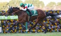 【2021香港国際競走】日本馬の近況（12月9日）