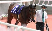 【有馬記念】ラストランのキセキは松山弘平騎手と新コンビ