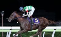 【地方競馬】大井のトロヴァオが引退　ハイセイコー記念など重賞4勝