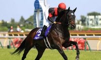 【次走】ペルシアンナイトは有馬記念へ　前走チャレンジC3着