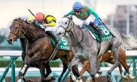 【ターコイズS想定】府中牝馬S上位のアンドラステ・マルターズディオサ・ドナアトラエンテなど22頭