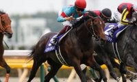 【香港国際競走】福永祐一騎手がインディチャンプに騎乗、C.スミヨン騎手がレイパパレに騎乗など(10日の近況)