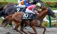 【カペラS予想】勝ち馬傾向から「○○」重視！ 馬体重の有無もポイントか