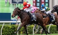 【香港スプリント／3連複15点勝負】日本馬3頭のうち2頭に“不安”材料　後方待機の香港勢に警戒