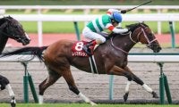 【2021香港国際競走】日本馬の近況（12月11日）