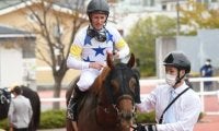 【川崎・全日本2歳優駿枠順確定】セキフウは1枠1番、ナッジは3枠3番