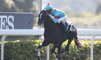 【香港ヴァーズ結果】グローリーヴェイズがモレイラ騎手とのコンビで2度目の制覇！