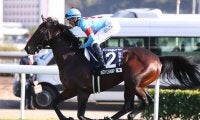 【香港マイル】福永祐一騎手落馬負傷のためインディチャンプはスミヨン騎手に乗り替わり