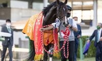 【香港スプリント】ピクシーナイト馬体は異常なし、香港の2頭が予後不良に