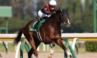 GI朝日杯FSとJpnI全日本2歳優駿に注目/今週の競馬界の見どころ