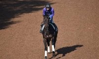 セレクト当歳にて2億円超で落札された高額馬、デシエルトがデビュー/関西馬メイクデビュー情報