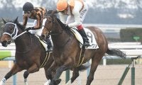 【先週のJRA抹消馬】2019年フィリーズレビュー覇者ノーワン、飛鳥Sを制したレッドベルディエスなど