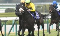 朝日杯FSに新種牡馬産駒ズラリ　これから数年で日本の血統地図は激変
