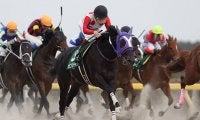 【地方競馬】2017年根岸S覇者カフジテイクが引退 松浦裕之調教師「もっと走らせたかったです」