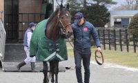 米国ダート重賞9勝馬フィレンツェファイアがアロースタッドに到着