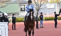 【朝日杯FS展望】2歳マイル王決定戦、あの穴馬に期待したい