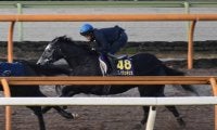クロノジェネシス、有馬記念1週前追い切り速報/栗東トレセンニュース