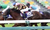 モズスーパーフレアが競走馬登録抹消