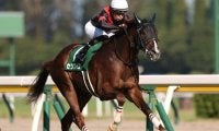 【朝日杯FS枠順確定】セリフォスは3枠4番、ジオグリフは7枠13番