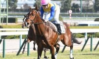 【阪神5R新馬戦結果】外国産馬エアアネモイが逃げて3馬身差圧勝
