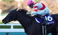 【有馬記念 注目馬(1)】鞍上はデビュー28年目でグランプリ初騎乗　再び金星を狙う今年の秋女王
