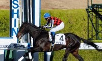 【新馬/阪神6R】ドレフォン産駒 デシエルトが7馬身差圧勝