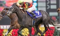 グランプリ女王vs3歳世代 暮れの大一番・有馬記念に注目/今週の競馬界の見どころ