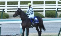 【朝日杯FSレース回顧】武豊騎手の見事な手綱捌き