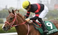 【阪神C展望】好メンバーが揃ったGII、中でもあの馬に期待したい