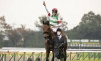 【有馬記念予想】エフフォーリアに黄信号!? 秋天からのステップは吉か凶か？/データ分析(ローテーション編)