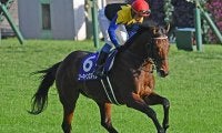 【有馬記念 注目馬(5)】長距離戦で磨いたスタミナ魅せる　唯一のキングカメハメハ産駒
